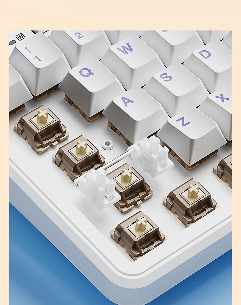 Wireless Bluetooth Keyboard Macro Gaming keyboard Gasket Keyboard
