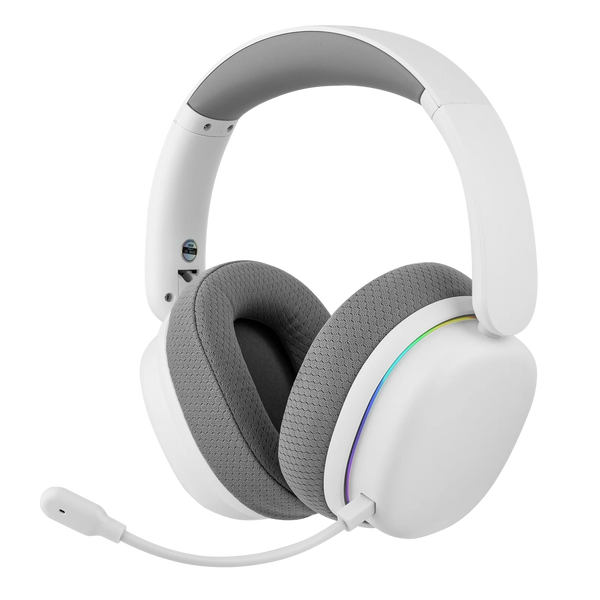 Wireless Gaming Headphone 7.1 Surround Sound with Noise Canceling Mic